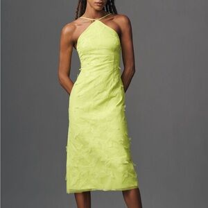 ML Monique Lhuillier Kayla Halter Tulle Midi Dress
